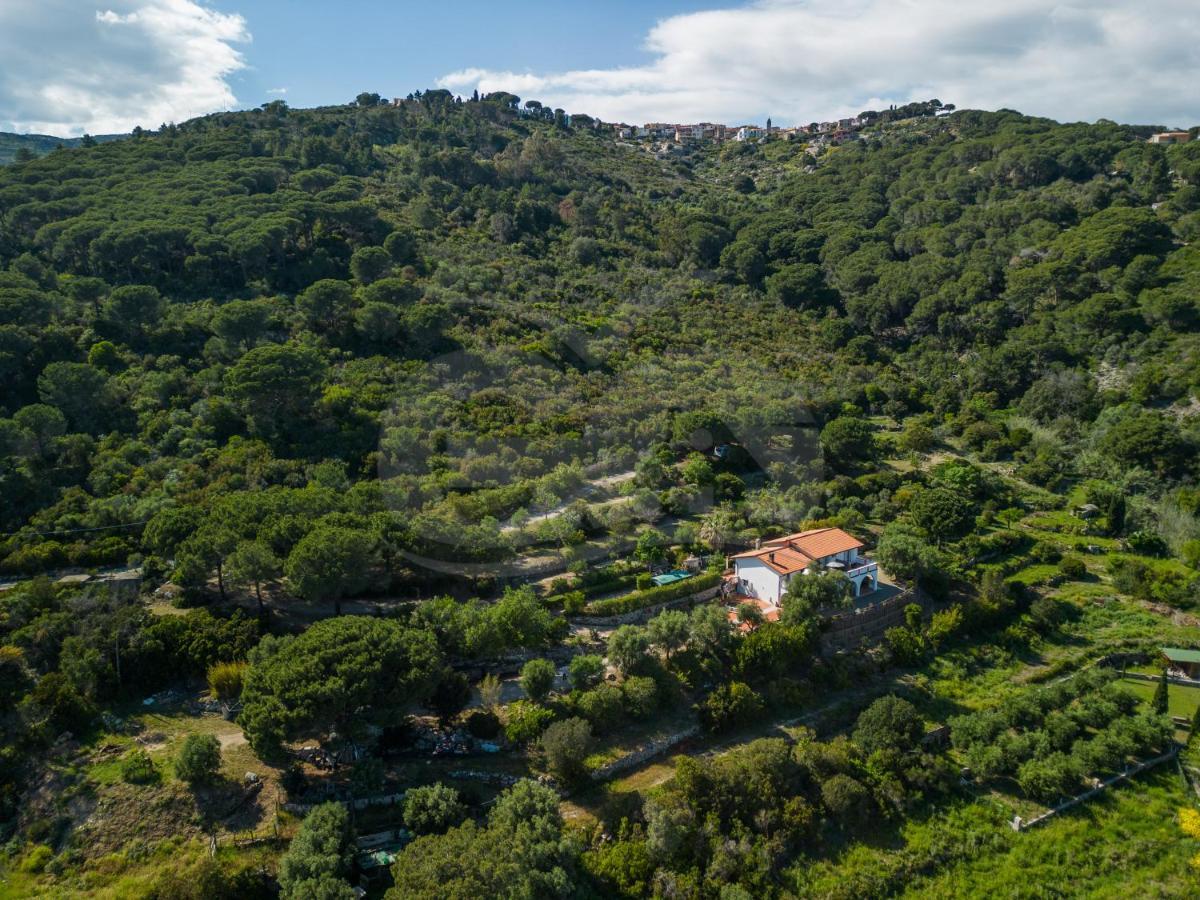 La Palazzina Nel Verde - Goelba Casa Alzi Exterior photo
